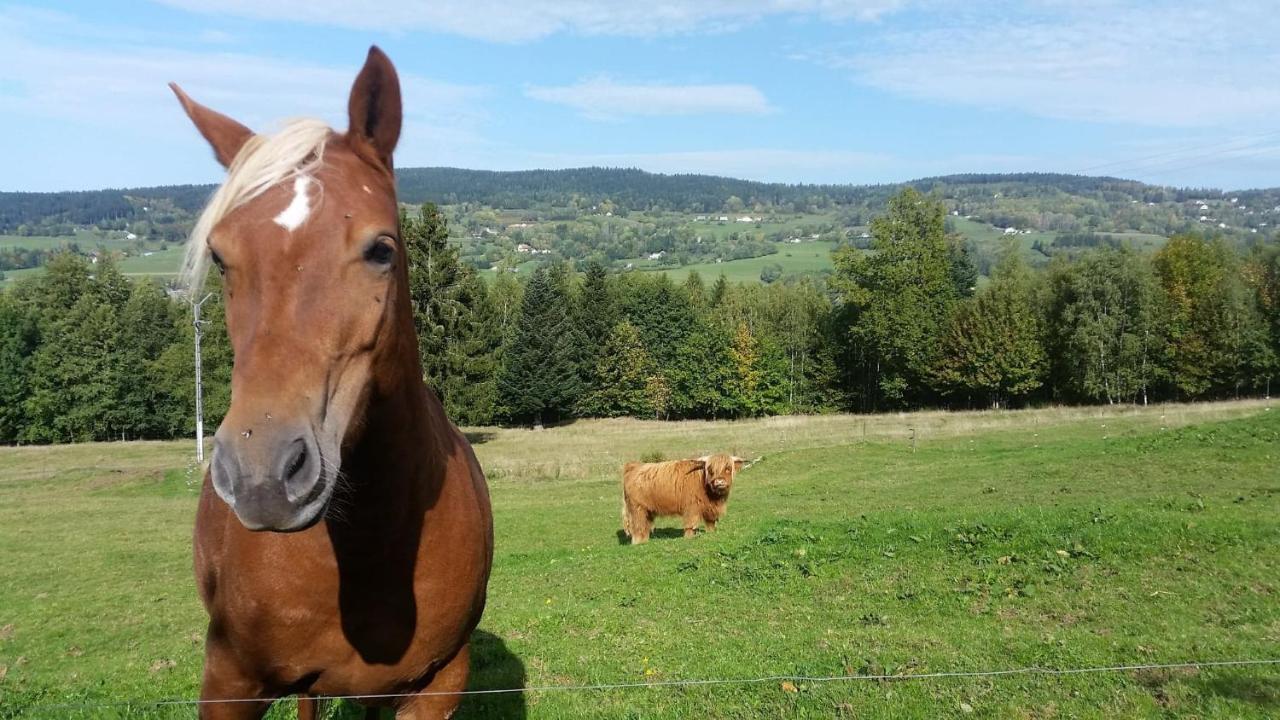 Chalet Nature Haute Vosges *