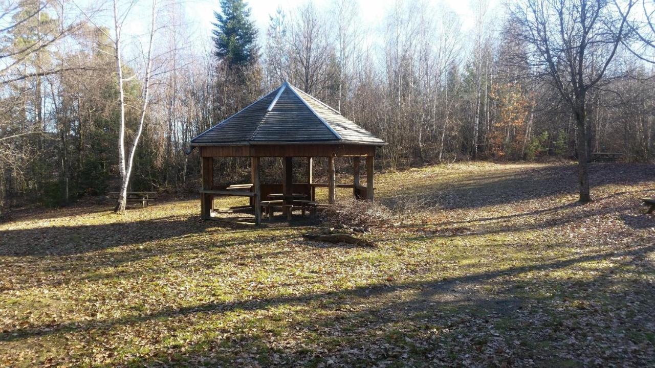 Nature Haute Vosges * Anould