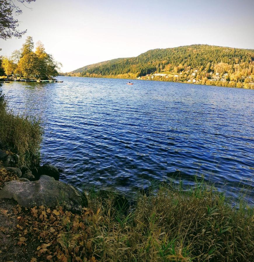 Nature Haute Vosges Chalet Anould