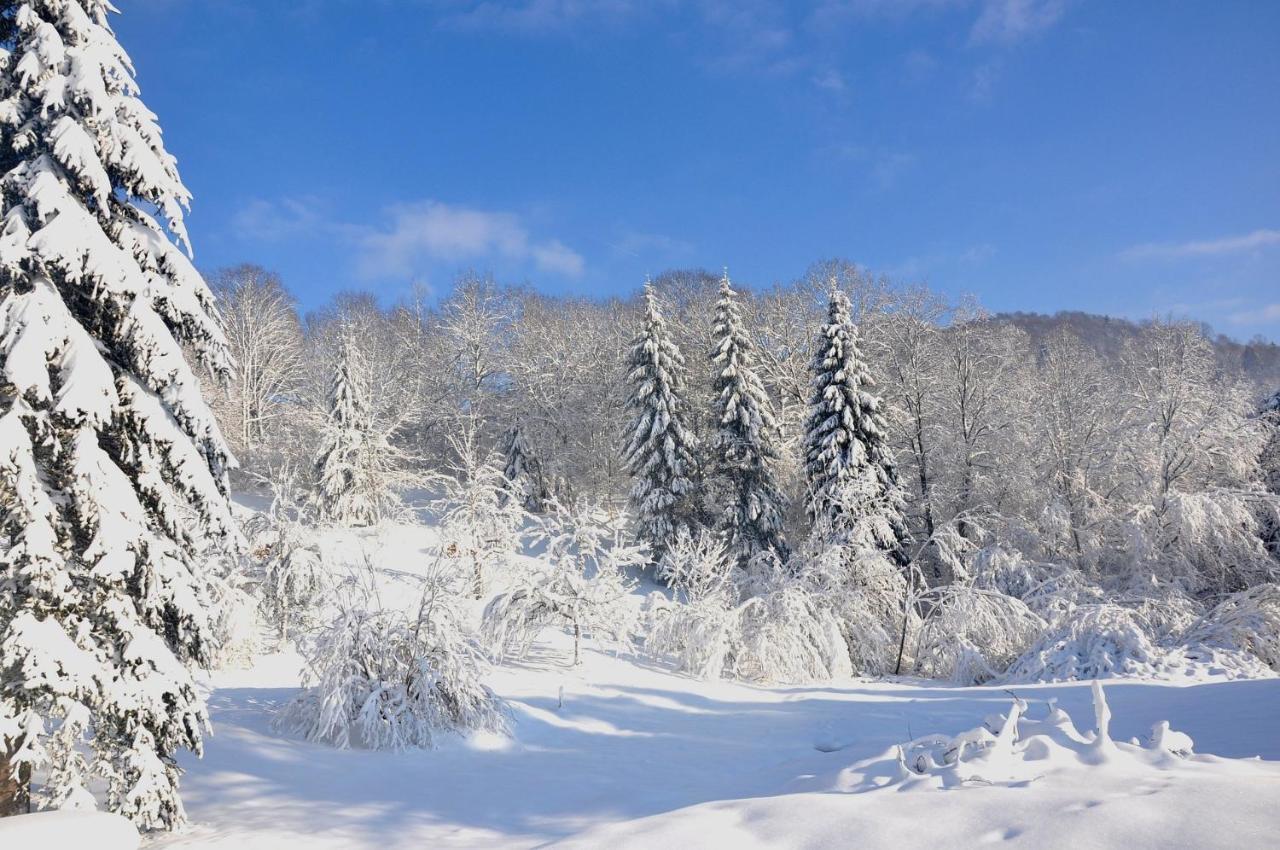 Chalet Nature Haute Vosges